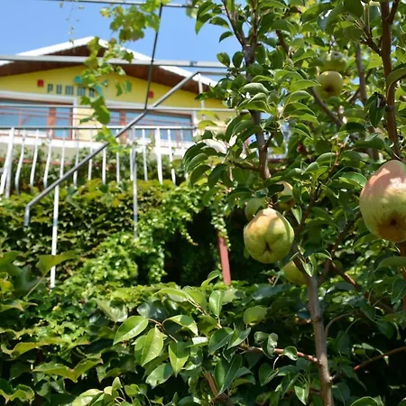 Puma Ferienhaus Baltschik