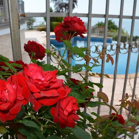 Puma Ferienhaus Baltschik