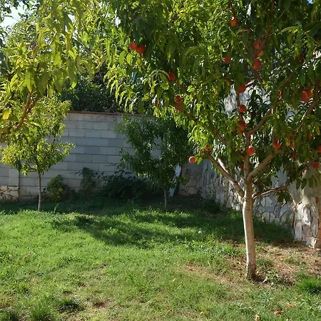 Puma Case de vacanță *