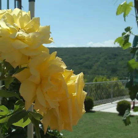 Case de vacanță Puma Balcic