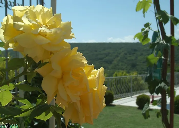 Feriehus Puma Balchik